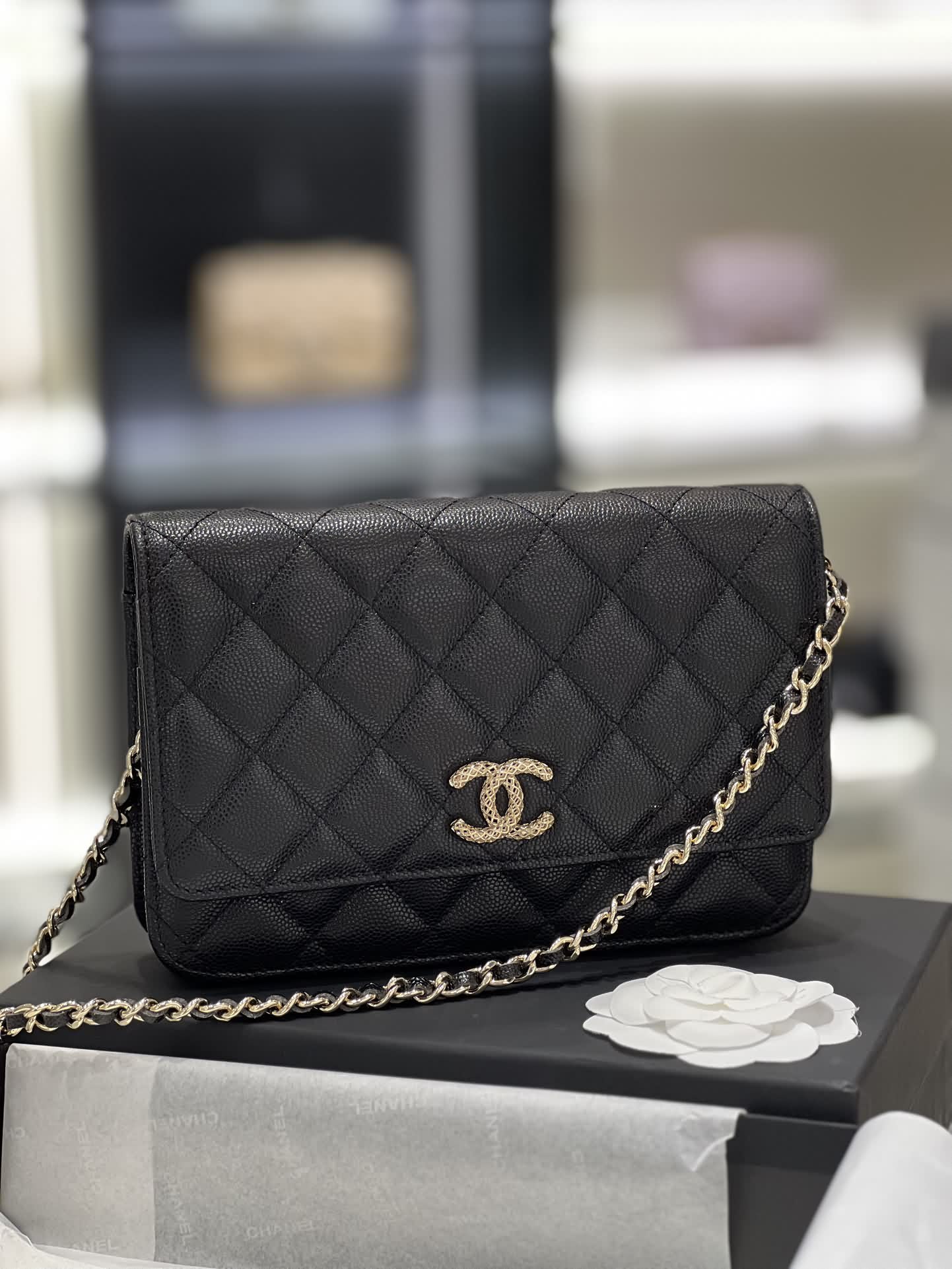Chanel 23P新款鏤空雙-woc發財包