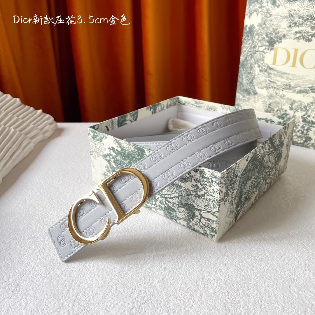Dior 金屬覆層黃銅腰帶